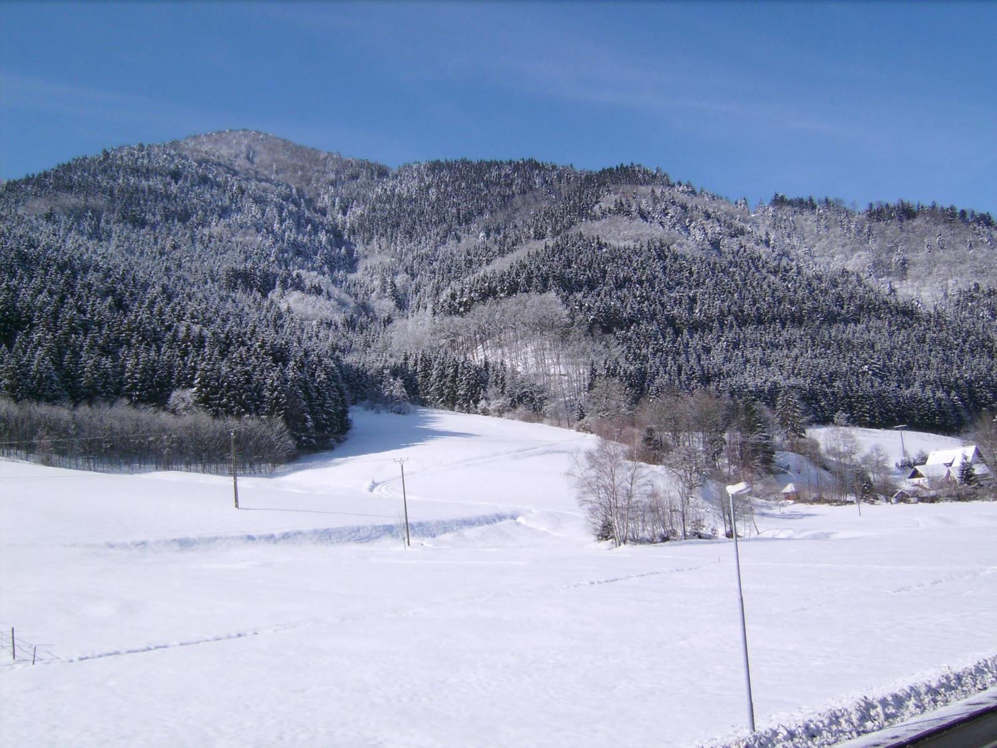 Gasthaus Zur Erle Simonswald Exterior foto